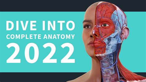 For the first time organizations can quickly make their health, medical and life science education more immersive using BioDigital’s software. . Complete anatomy 2022 crack pc